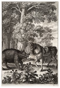 Boar and Ass by Wenceslaus Hollar